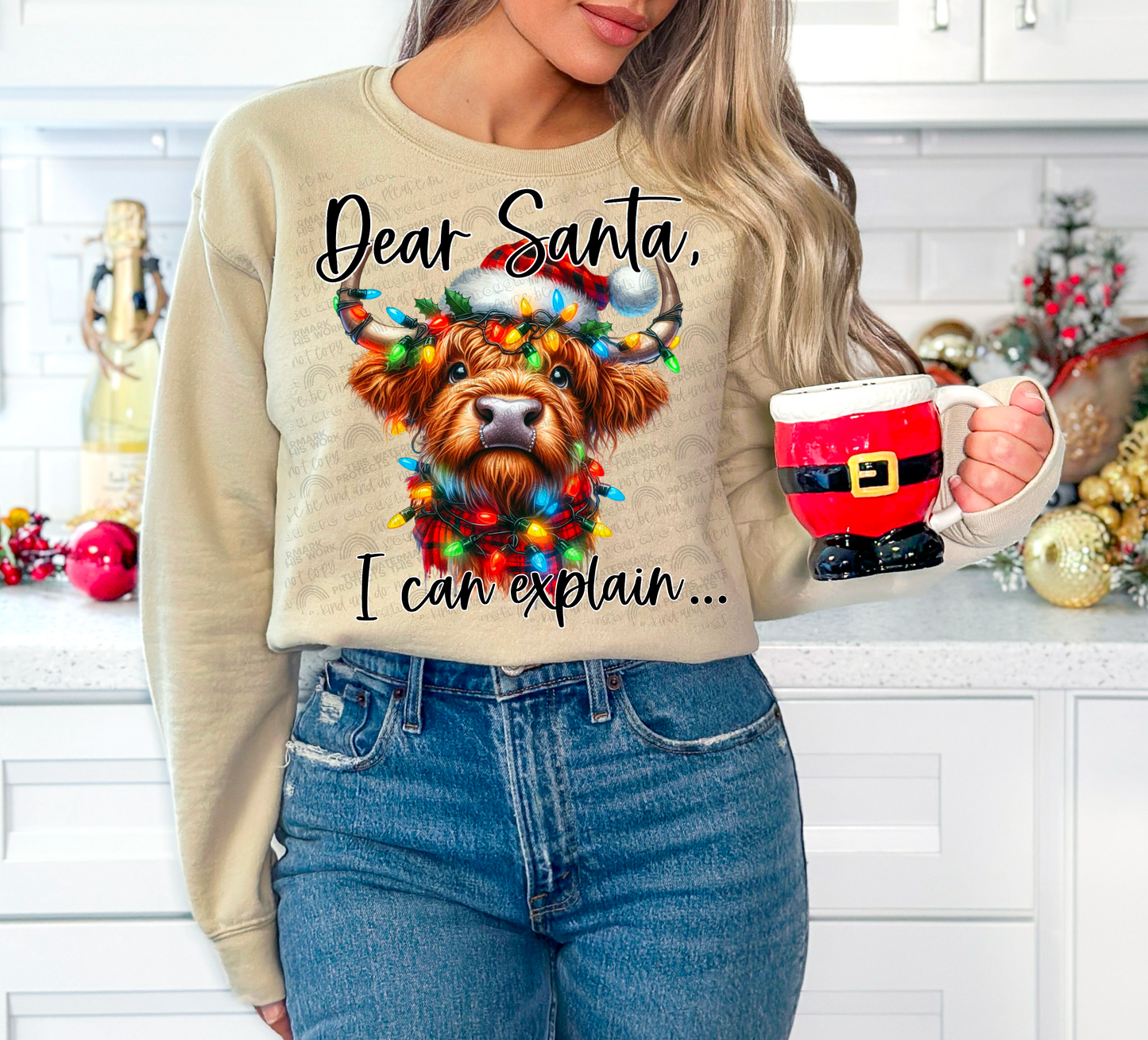 DEAR SANTA, I CAN EXPLAIN… PNG | Digital Download | PNG