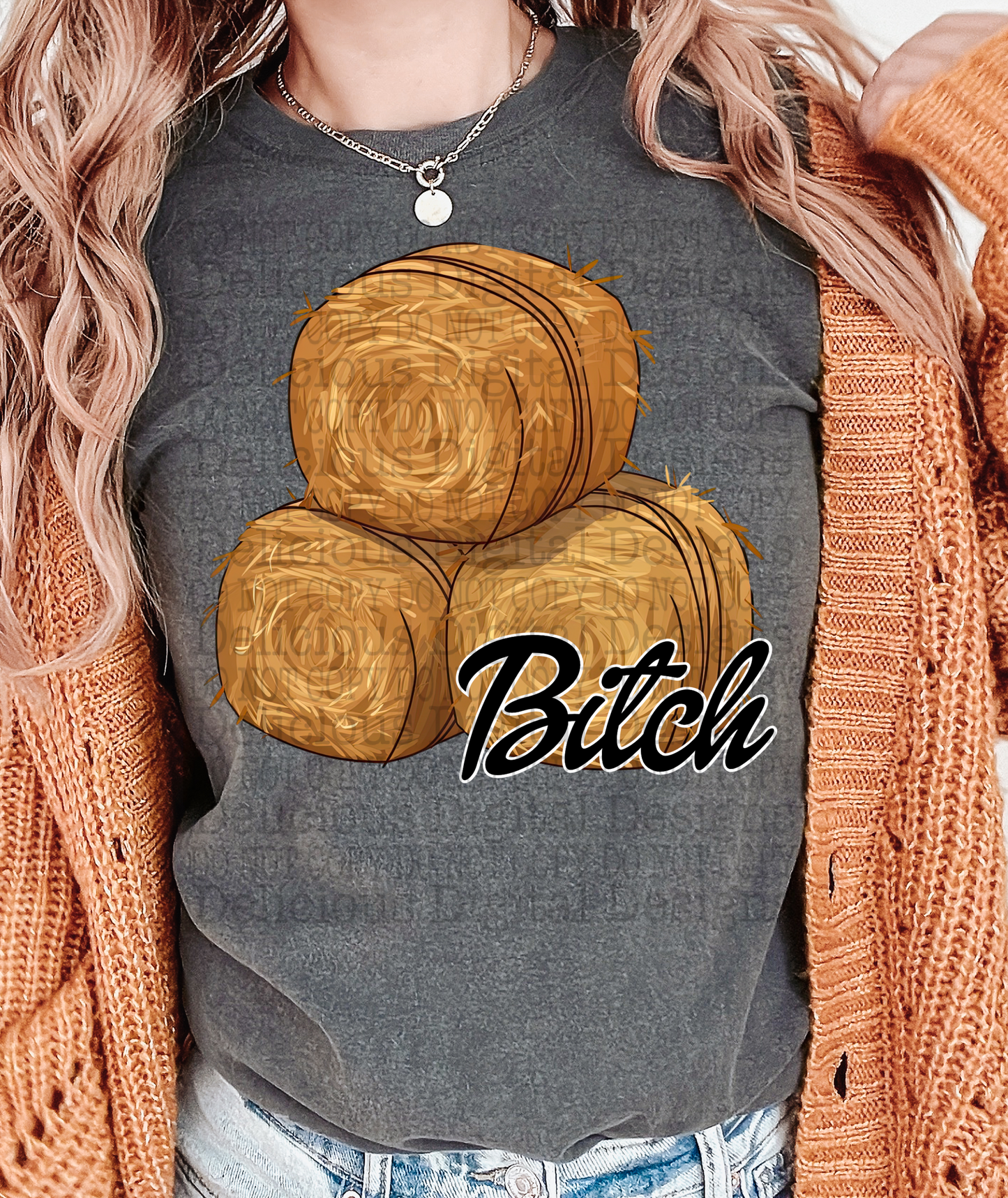 HAY BITCH PNG | Digital Download | PNG